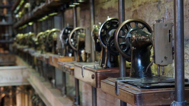 portobello 778864 1920 1 1024x575 1