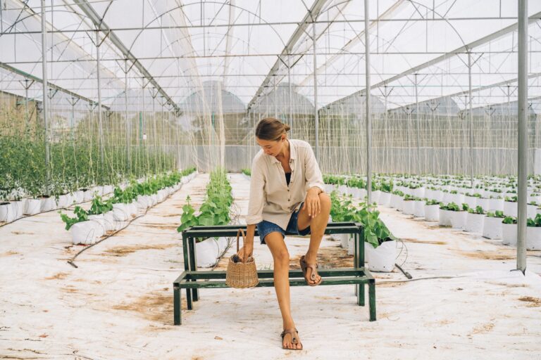 pexels anna tarazevich 7299620