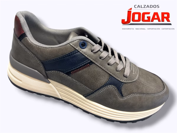 TT 422 GRIS